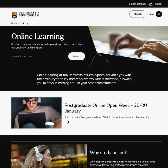 Website design example