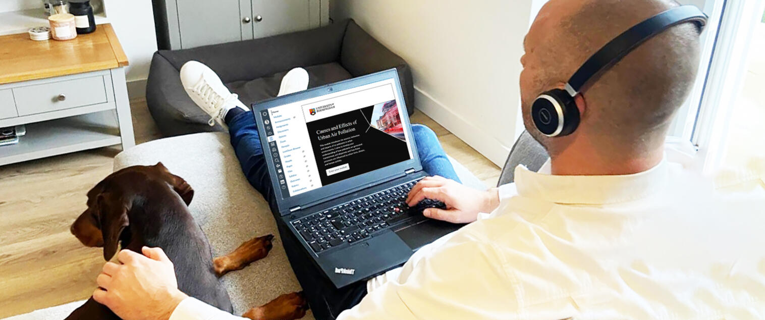 Online learner at home